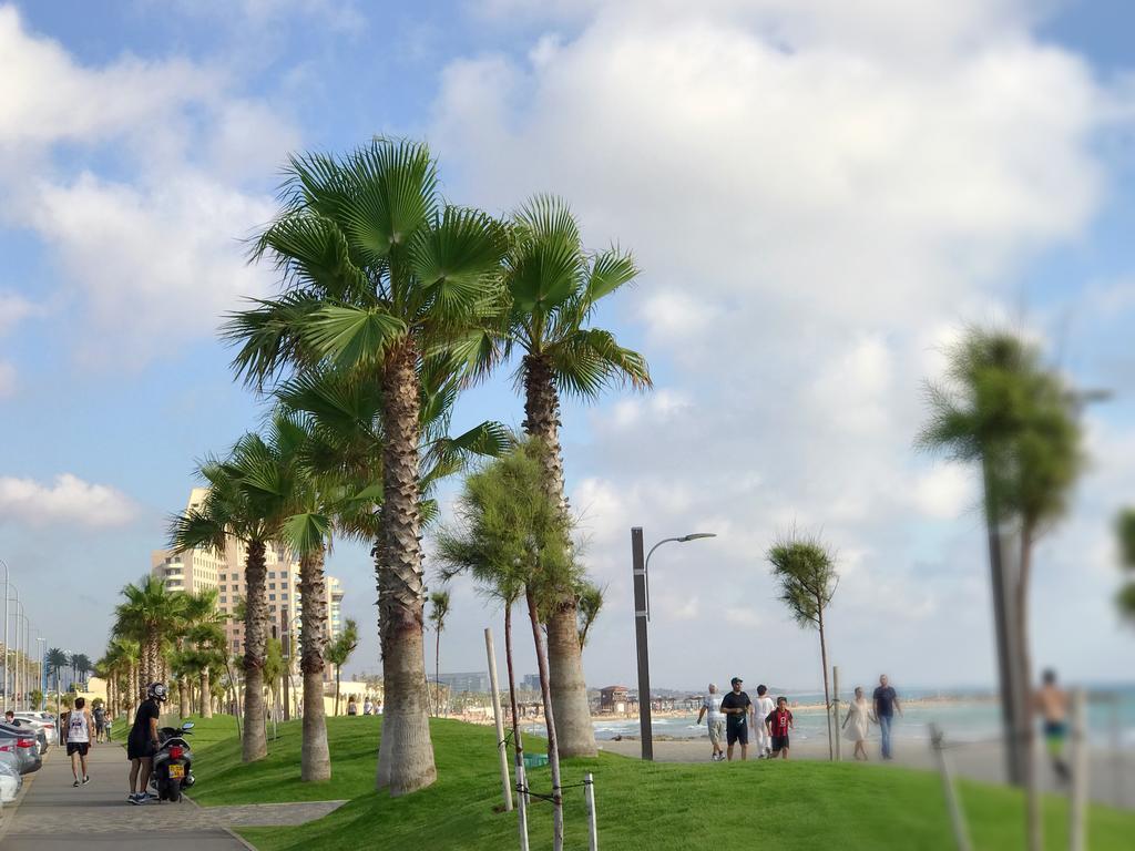 דירות חיפה דירת נופש ליד החוף מראה חיצוני תמונה